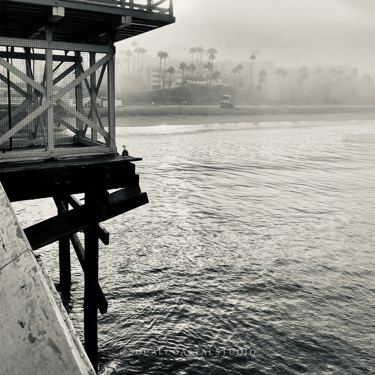 Black and white fine art print titled "Fog Line," showing a lifeguard tower fading into coastal fog with palm trees in the distance, from the Shoreline Editions collection by SoCal Coastal Studio.